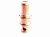 Катод (CS 81) IVB0604